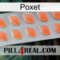 Poxet 26